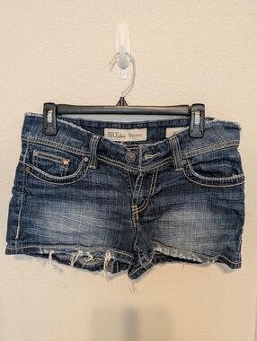 BKE Payton Distressed Shorts